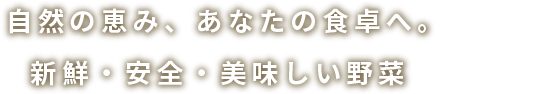 自然の恵み、あなたの食卓へ。新鮮・安全・美味しい野菜