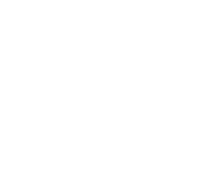 Towards Sustainable Societies